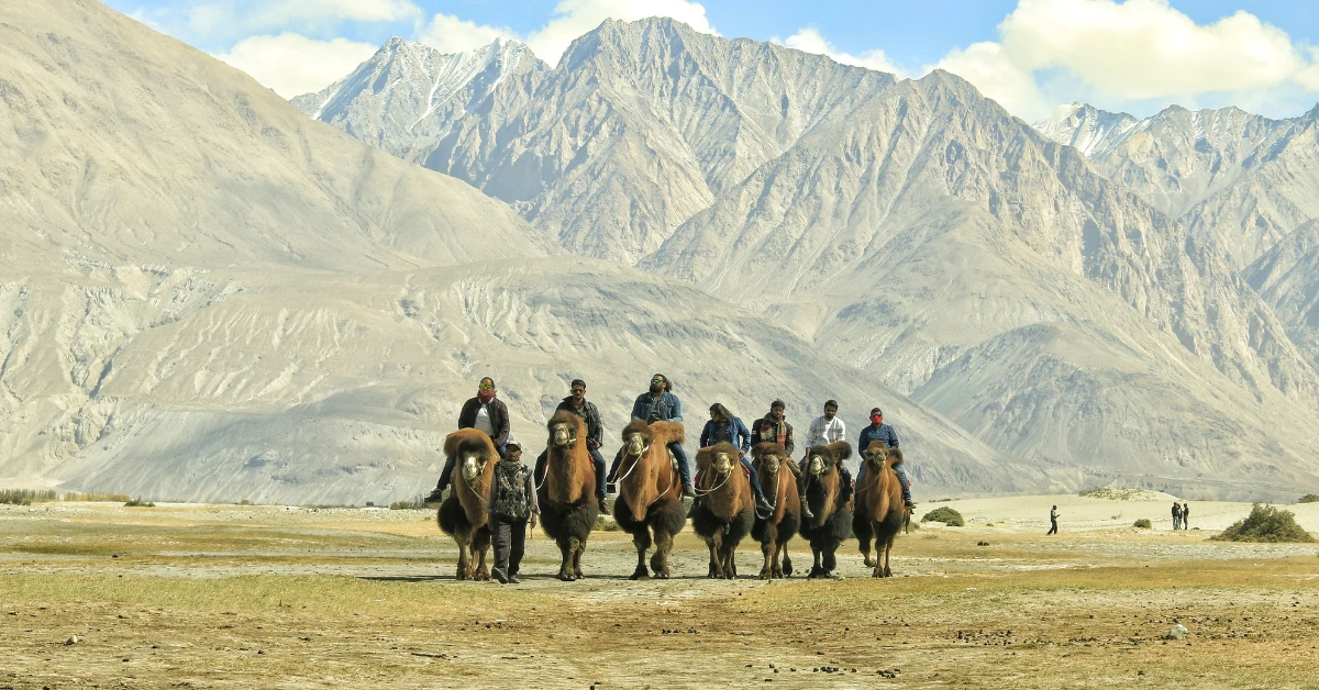 nubra valley ladakh travel guide